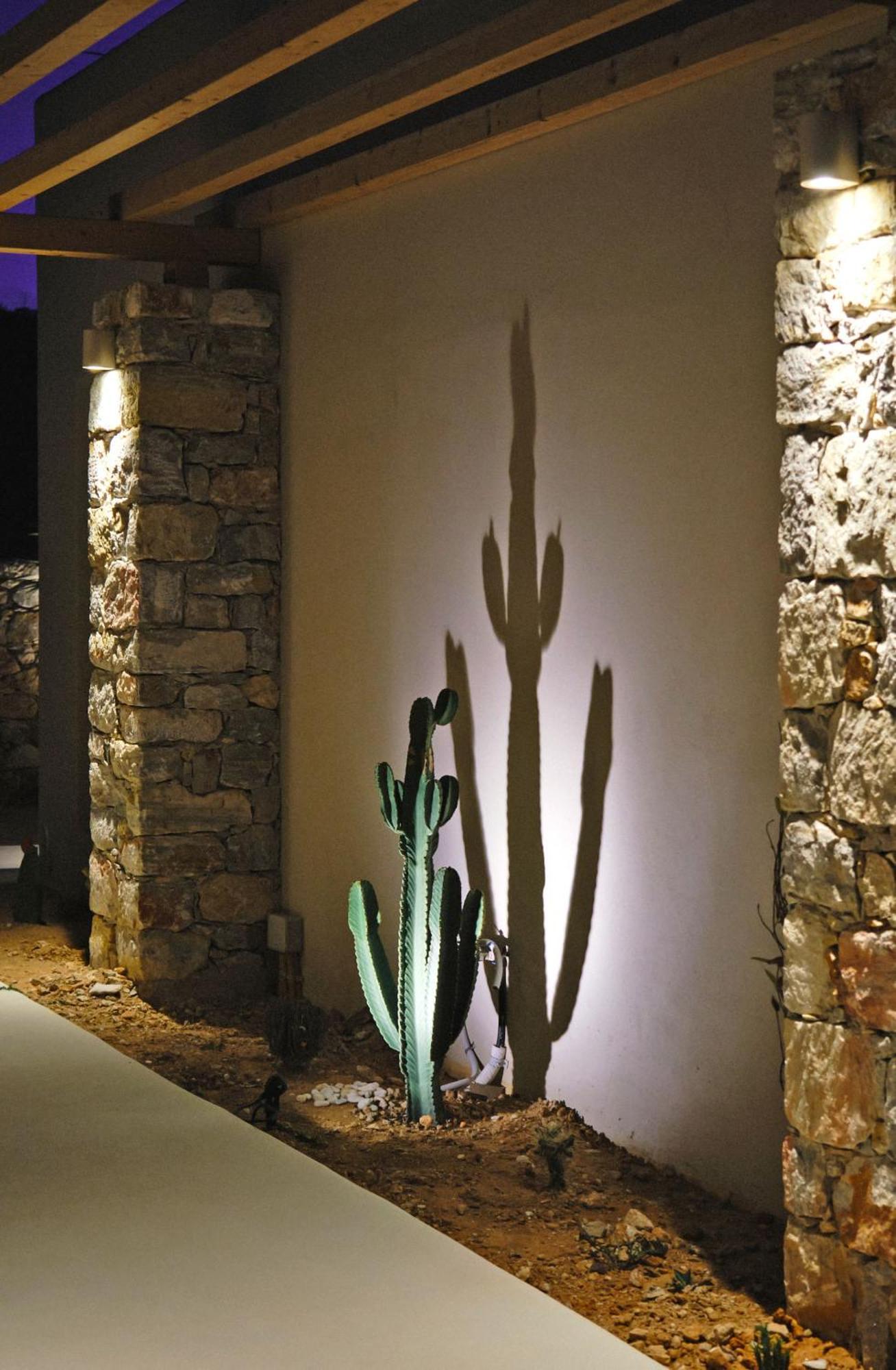 Agave Donousa Suites Экстерьер фото